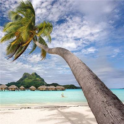 LOL外围官网下载手机版截图