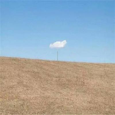 LOL外围官网下载手机版